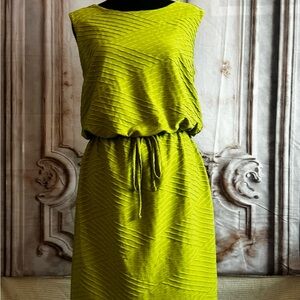 EUC apple green pullover dress.